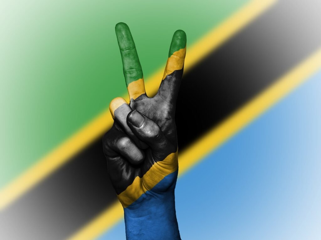 Biwater Gauff v Tanzania