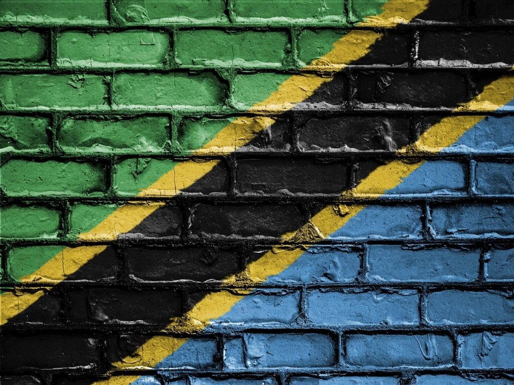 Nachingwea v Tanzania